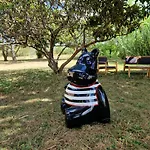 Mas De Rofa Piscine Et Grand Jardin Au Pieds Des Cevennes * Saint-Martin-de-Valgalgues