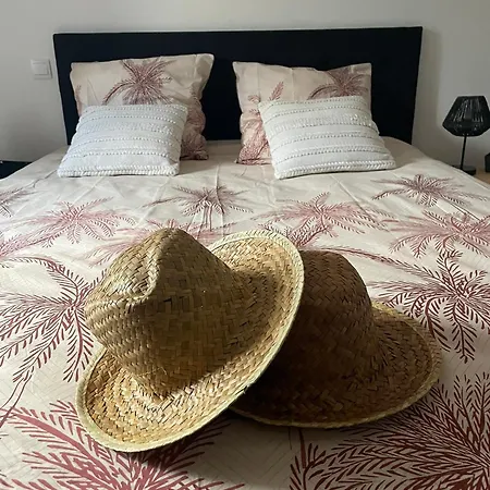 Mas De Rofa Proche Pole Mecanique Ales Saint-Martin-de-Valgalgues